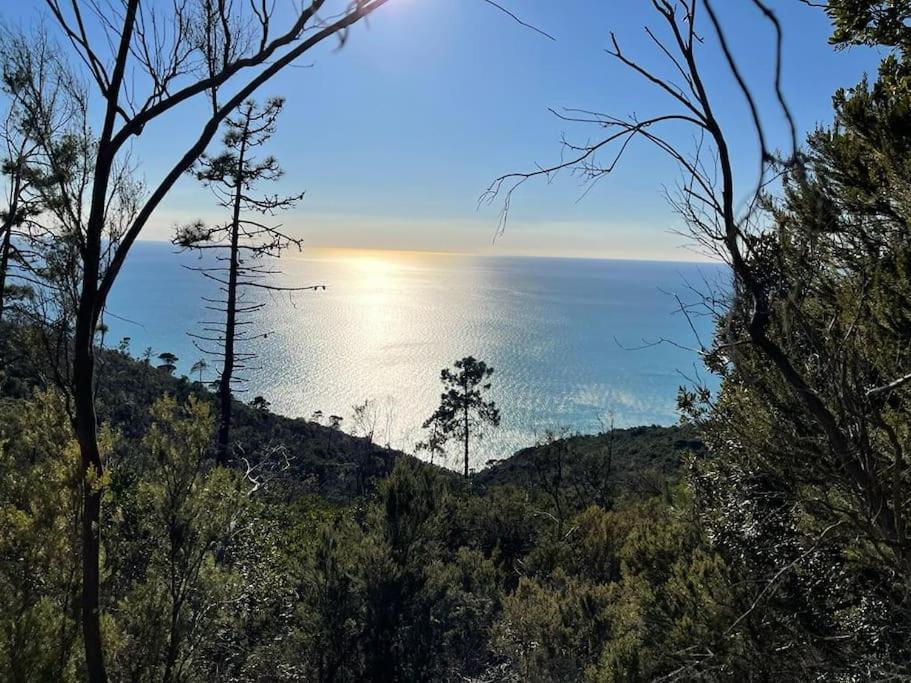 Beatrice Nel Centro Di Levanto Eksteriør bilde